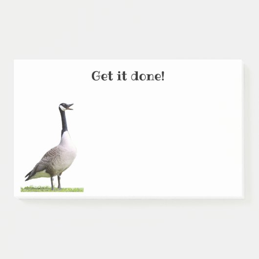 Canada Goose Honking Notes Post-it Klebezettel (Vorderseite)