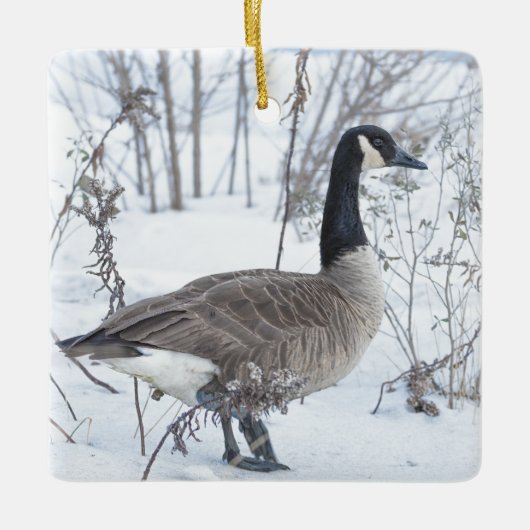 Canada Goose in Snow Ornament (Vorderseite)