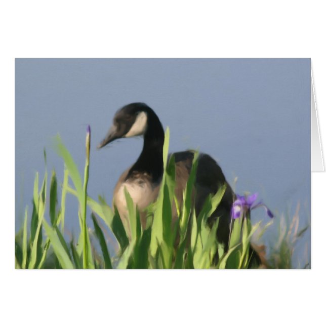 Canada Goose Irises Animal Art Card (Vorderseite (Horizontal))