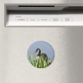 Canada Goose Irises Animal Art Magnet (In Situ (Geschirrspüler))