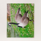 Canada Goose Jigsaw Puzzle (Vertikal)