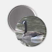 Canada Goose Magnet (Vorderseite/Rückseite)
