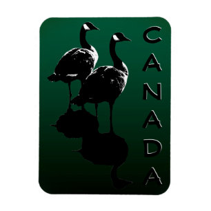 Canada Goose Magnet Canada Souvenir Kühlschrankmag
