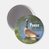 Canada Goose Peace Inspiration Magnet (Vorderseite/Rückseite)