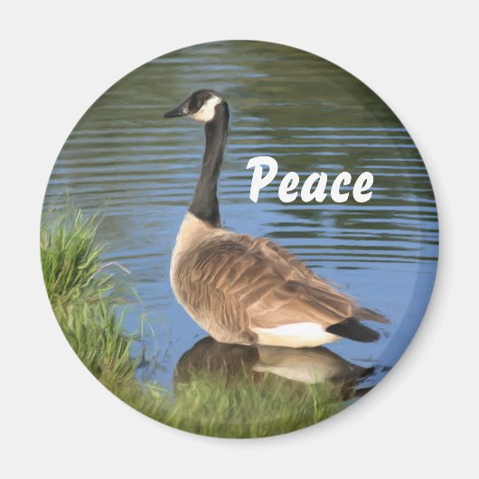 Canada Goose Peace Inspiration Magnet (Vorne)