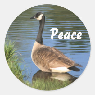 Canada Goose Peace Inspiration Sticker