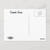 CANADA GOOSE POSTKARTE (Rückseite)