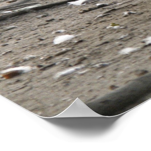 Canada Goose Print Poster (Ecke)