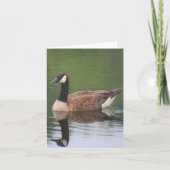Canada Goose Reflections Nature Note Karte (Vorderseite)