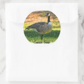 CANADA GOOSE RUNDER AUFKLEBER (Tasche)