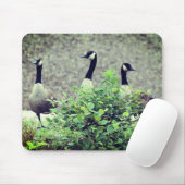 Canada Goose Trio Nature Mousepad (Mit Mouse)