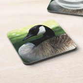 Canada Goose Wildlife Foto Getränkeuntersetzer (Linke Seite)
