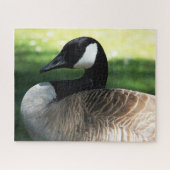 Canada Goose Wildlife Foto Puzzle (Horizontal)
