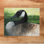 Canada Goose Wildlife Foto Puzzle<br><div class="desc">Das Foto-Puzzle mit dem Thema Natur zeigt das wunderschöne Kanadengas. Spaß für die ganze Familie! HINWEIS: Das Bild ist für Rätsel bis zu 16 x 20 Zoll konzipiert.</div>
