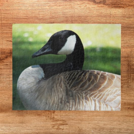 Canada Goose Wildlife Foto Puzzle