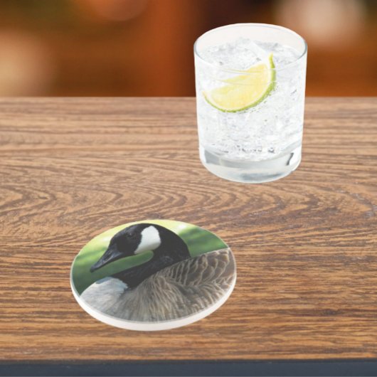 Canada Goose Wildlife Foto Sandstone Getränkeuntersetzer