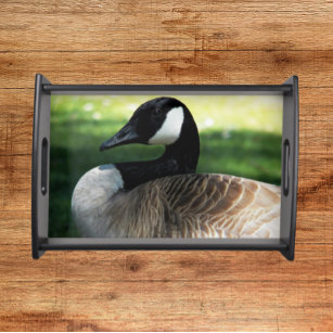 Canada Goose Wildlife Foto Serviertablett