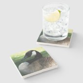 Canada Goose Wildlife Foto Steinuntersetzer (Seitenansicht)