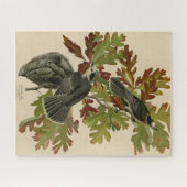 Canada Jay (Gray Jay) - Audubon's Birds of America Puzzle (Horizontal)