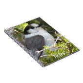 Canada Jay Nature Foto Notizblock (Rechte Seite)