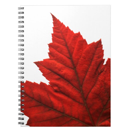 Canada Journal Souvenir Notebooks Kanada Sketchpad Notizblock (Vorderseite)