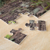 Canada Lynx fordert Nature Lover heraus Puzzle (Seite)