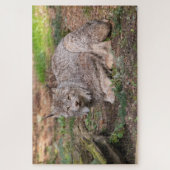 Canada Lynx fordert Nature Lover heraus Puzzle (Vertikal)