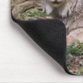 Canada Lynx Nature Lover Individuelle Name Mousepad (Ecke)
