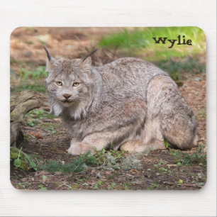 Canada Lynx Nature Lover Individuelle Name Mousepad
