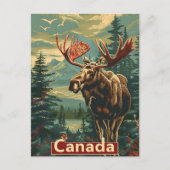 Canada Moose Vintag Postkarte (Vorderseite)