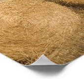Canada, Saskatchewan, Craik: Hayrolls / Autumn Poster (Ecke)