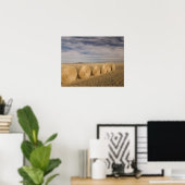 Canada, Saskatchewan, Craik: Hayrolls / Autumn Poster (Heimbüro)