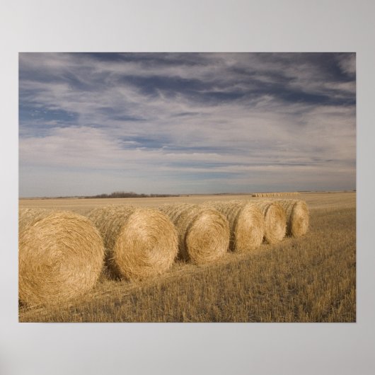 Canada, Saskatchewan, Craik: Hayrolls / Autumn Poster (Vorne)