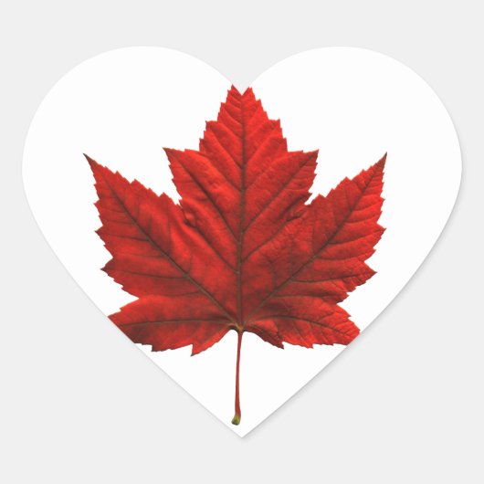 Canada Souvenir Stickers Red Maple Leaf Stickers (Vorderseite)