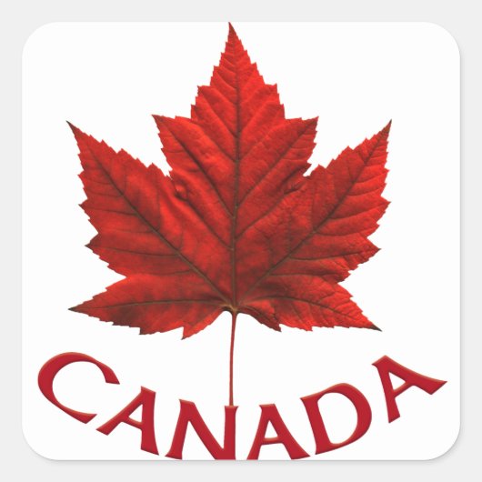 Canada Souvenir Stickers Red Maple Leaf Stickers (Vorderseite)