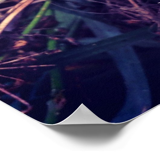 Canada Thistle Poster (Ecke)