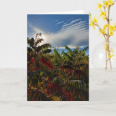 Canadian Autumn Colors Blank Card Karte (Gelbe Blume)