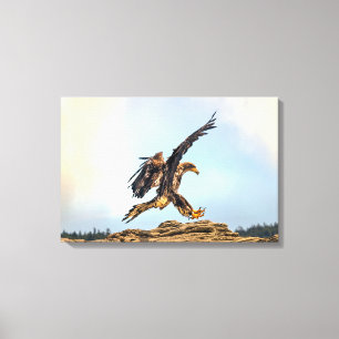 Canadian Bald Eagle Landing Leinwanddruck