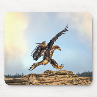 Canadian Bald Eagle Landing Mousepad