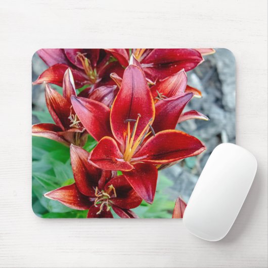 Canadian Beauty: Red Stargazer Lily Fotografy Mousepad (Mit Mouse)