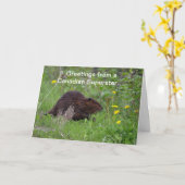 Canadian Beaver Funny Wildlife Grußkarte Karte (Gelbe Blume)