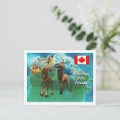 Canadian Elk Beaver and Gans Postkarte (Stehend Vorderseite)