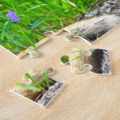 Canadian Fox Puzzle (Seite)