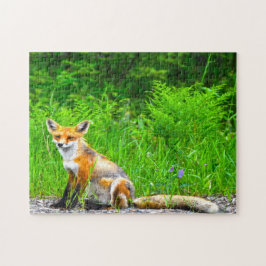 Canadian Fox Puzzle