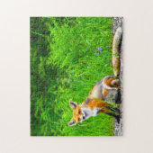 Canadian Fox Puzzle (Vertikal)