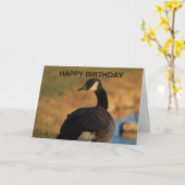 Canadian Gans Birthday Card Karte (Gelbe Blume)