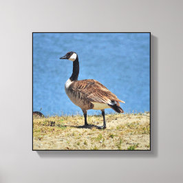 Canadian Gänse Canva Wrap Print Leinwanddruck
