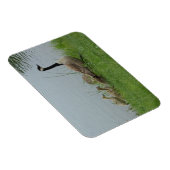 Canadian Geese Family Flexible Magnet (Rechte Seite)