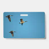 Canadian geese in flight ausweis (Rückseite)