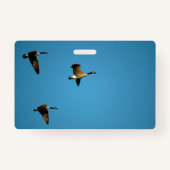 Canadian geese in flight ausweis (Rückseite)